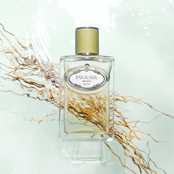 Prada Infusion de Vetiver EDP 100 ml