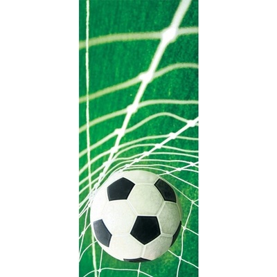 Preinterier DV0044 Fototapeta na stenu Futbalová lopta vlies 91cm x 211cm