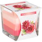 BISPOL Ароматна свещ Bispol Aura - Cactus Flower, 170 g (snk80-312)