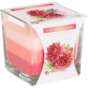 BISPOL Ароматна свещ Bispol Aura - Cactus Flower, 170 g (snk80-312)