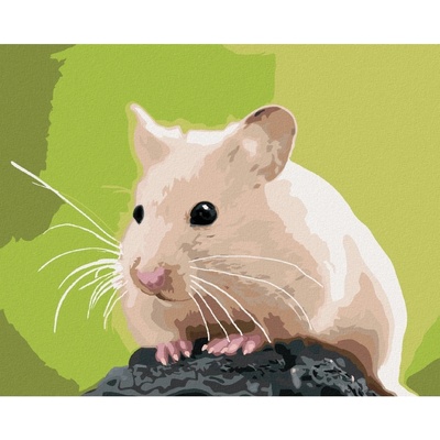 Zuty Malování podle čísel ZLATÝ KŘEČEK NA KAMENI