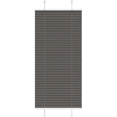 vidaXL Plisovaná roleta černá 60x100 cm