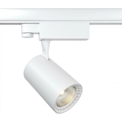 MAYTONI TR029-3-10W3K-S-W