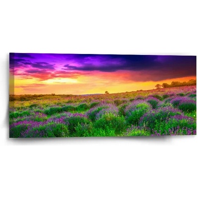 Sablio Obraz Levanduľové pole - 110x50 cm