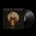 FLORENCE/THE MACHINE - DANCE FEVER LP