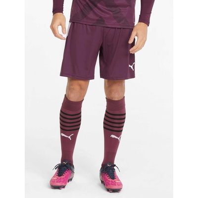Puma teamwear Къси панталони teamLIGA Shorts