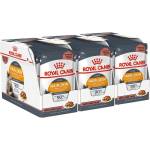 Royal Canin Hair & Skin Care Jelly консерви за котки в желе 36 x 85 г