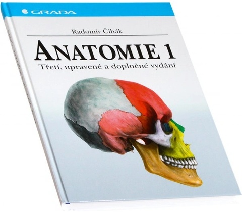 Anatomie 1.