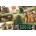 Trefl - Puzzle Star Wars: The Mandalorian: Grogu - 160 piese