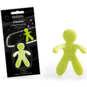 Mr&Mrs Fragrance Аромат Cesare Citrus (962)