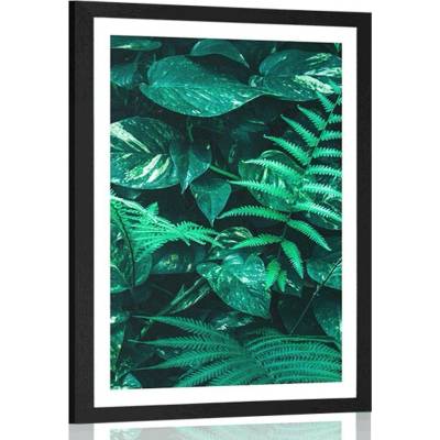 Plakát s paspartou svěží tropické listy - 30x45 white