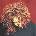 Janet Jackson - The Velvet Rope (Reissue) (2 LP) (0602577666698)