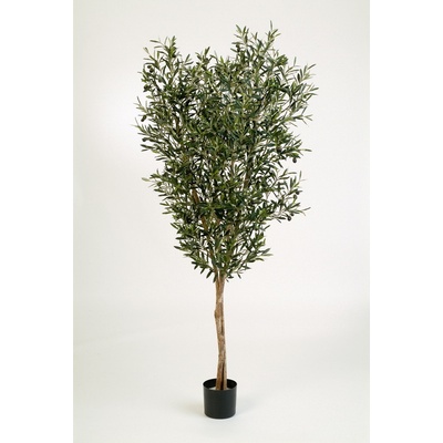 Luxusní umělý strom NATURAL OLIVOVNÍK STROM S PLODY, 180 cm
