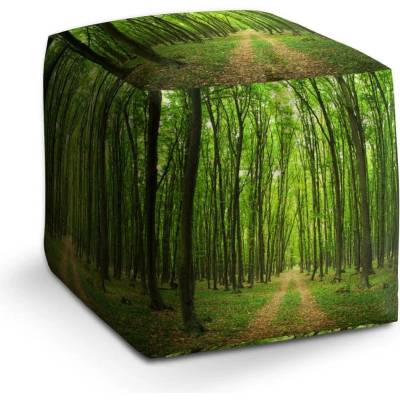 Sablio Taburet Cube Cesta v lese: 40x40x40 cm
