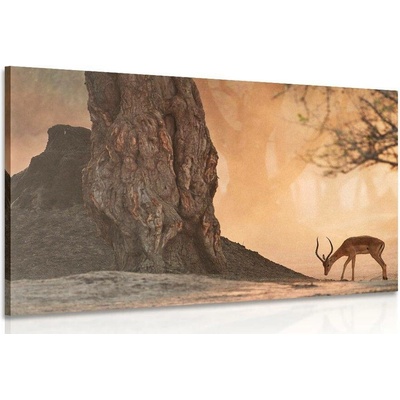Obraz africká antilopa - 120x80