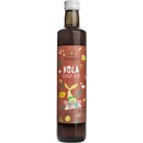 Sonnentor Kola sirup bio 0,5 l