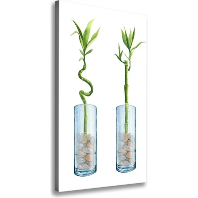 Vertikálny foto obraz na plátne Bambus v kvetináči 50x100 cm