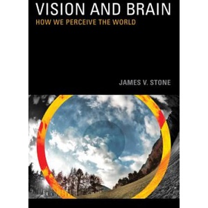 Vision and Brain | Stone (ISBN: 9780262517737)