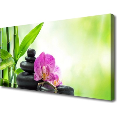 Obraz Canvas Bambus kamene zen umenie 100x50 cm