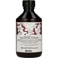 Davines NATURALTECH Replumping zacelující a hydratační šampon 250 ml