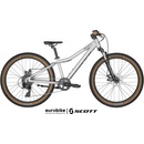 Scott Scale Disc 2022