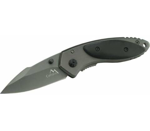 Cattara FISH 13234