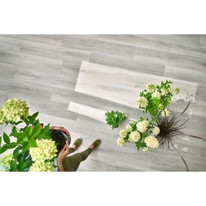 ARBITON Woodric - spc настилка whitecreek oak 4мм 175 (cw 175)