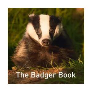 Badger Book | Jo Byrne (ISBN: 9781913634209)