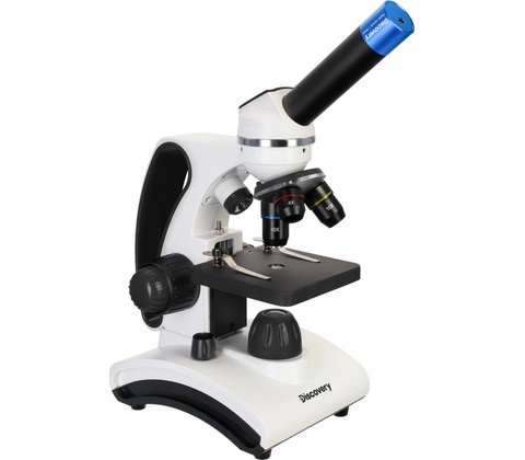 Discovery Pico Polar