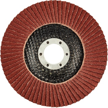 Graphite Kotouč lamelový 125 x 22,2 mm K120 55H991