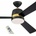 Westinghouse Tristan 73039