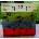 Sentop 12D40175