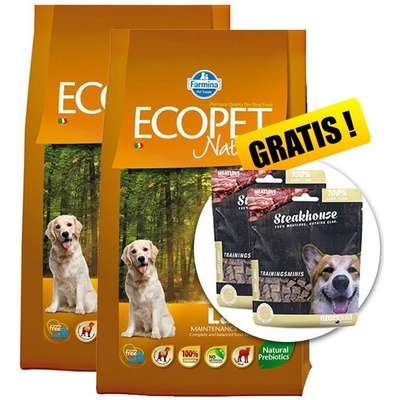Ecopet dog LAMB Medium 2 x 12 kg