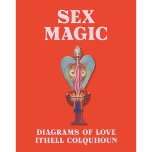 Sex Magic | Dr Amy Hale (ISBN: 9781849768801)