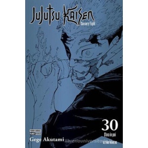 Jujutsu Kaisen. Sorcery Fight. Ediz. variant | Gege Akutami (2025)