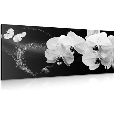 Obraz černobílá orchidej a motýl - 140x70