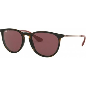 Image 1 of Ray-Ban Erika Color Mix RB4171 639175
