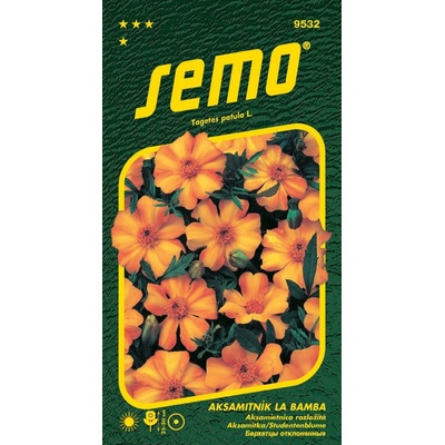 Semo Aksamitník rozkladitý La Bamba 40s