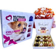 LK Baits PETs LK Baits Pet NUTRIGEL Collagen Bonbons Kolagenová bonboinéra pro psy pro menší psy 75 g