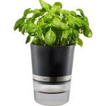 Gefu Саксия с билки Botanico (G-18920)