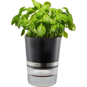 Gefu Саксия с билки Botanico (G-18920)