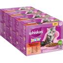 Krmivo pro kočky Whiskas Junior klasický výběr v omáčce 48 x 85 g