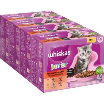 Whiskas Junior klasický výběr v omáčce 48 x 85 g