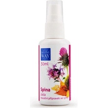 Divine Way Spina bylinný sprej 50 ml