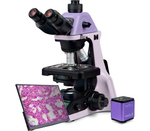 Magus Bio D240T LCD