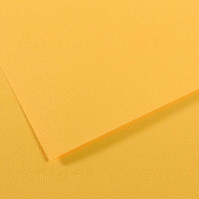 Canson Tónovaný papier Mi-Teintes 50 x 65 cm 160 g/m²Kanáriková 400