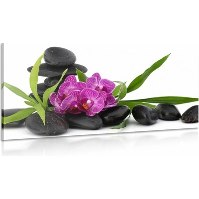 Obraz fialová orchidea v Zen zátiší
