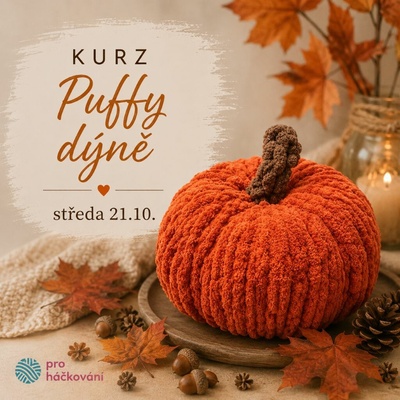 Pro Háčkování Kurz Puffy dýně
