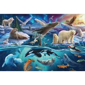 Schmidt Spiele - Puzzle Animals in the Arctic - 150 piese