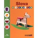 Slova v obrázcích